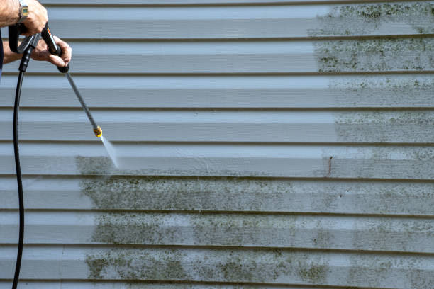 Best Yard Waste Removal  in St Helens, OR